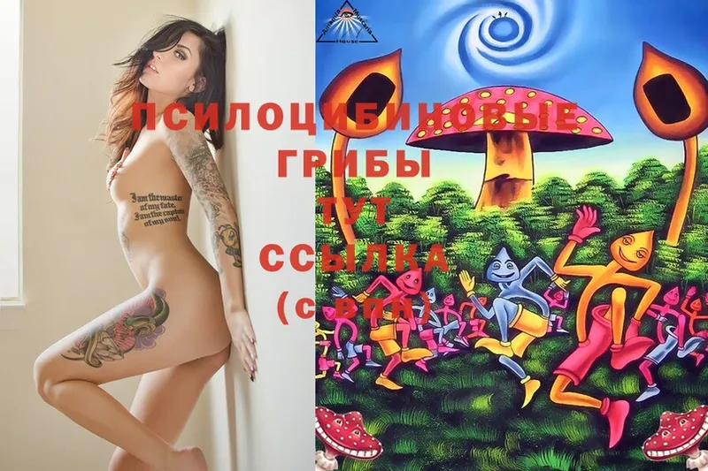 Псилоцибиновые грибы Magic Shrooms  купить   Мирный 