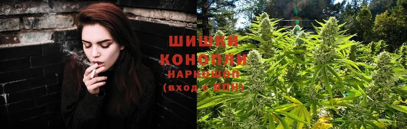 кракен ТОР  цены   Мирный  Канабис SATIVA & INDICA 